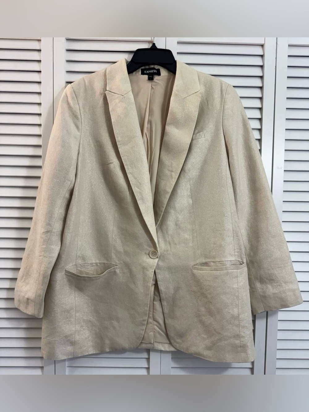EXPRESS Beige Glittery Linen Blend One-Button Blazer Jacket Lined Size Large